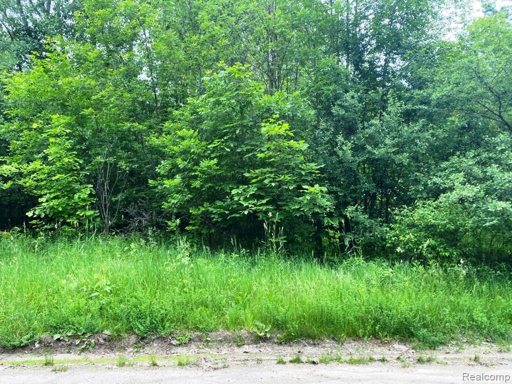 8223 CREEKWOOD Drive, Grand Blanc, MI 48439 — Photo 2