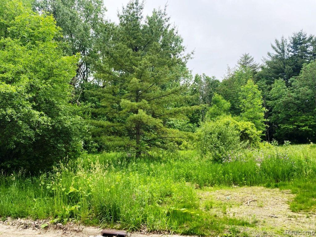 8223 CREEKWOOD Drive, Grand Blanc, MI 48439 — Photo 3