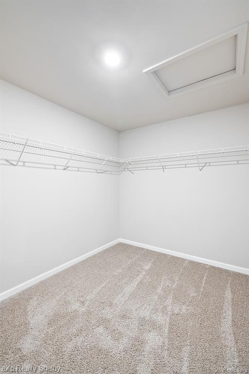 52585 WELLINGTON VALLEY Drive, Macomb, MI 48042 — Photo 28