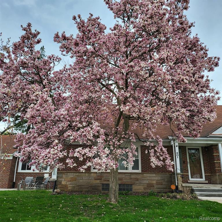 601 S LAFAYETTE Street, Dearborn, MI 48124 — Photo 5