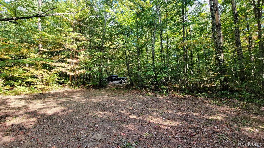 7528 OLD STUMP Road NE, Gaylord, MI 49735 — Photo 2
