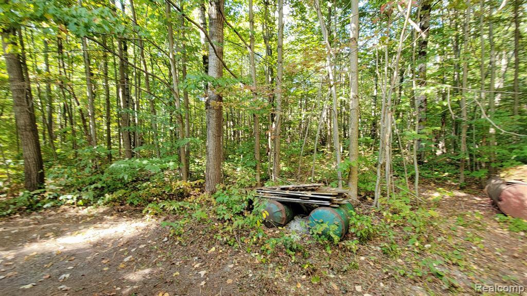 7528 OLD STUMP Road NE, Gaylord, MI 49735 — Photo 3