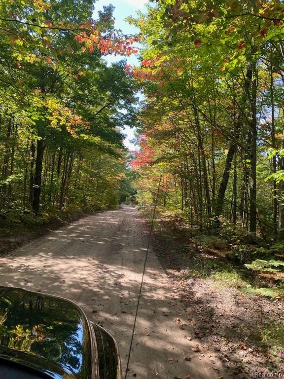 7528 OLD STUMP Road NE, Gaylord, MI 49735 — Photo 14