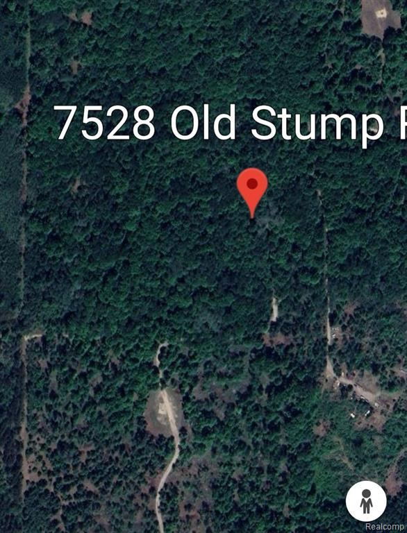 7528 OLD STUMP Road NE, Gaylord, MI 49735 — Photo 18