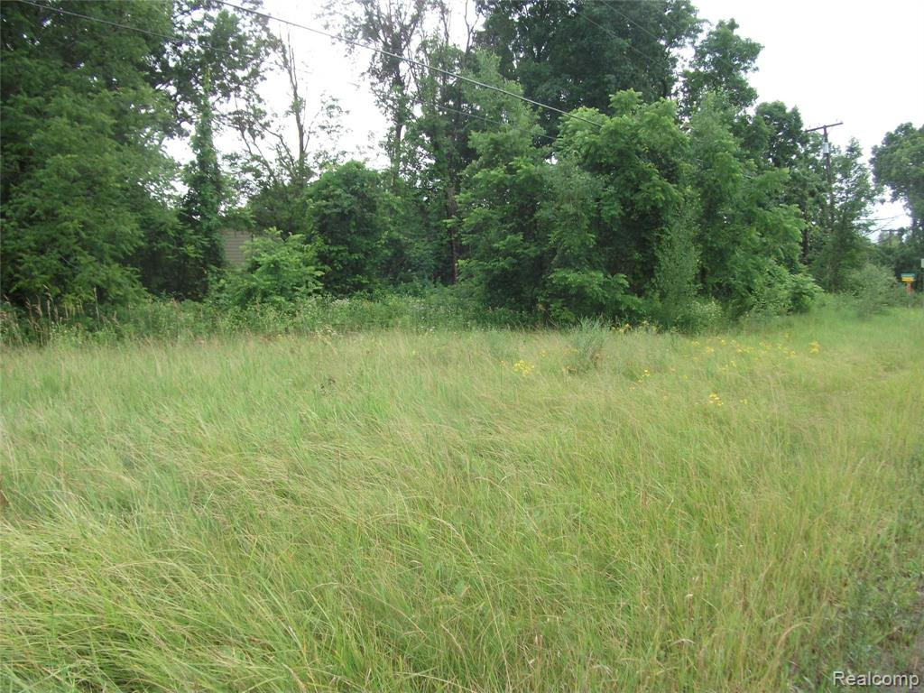 1928 Mist Wood Drive, Howell, MI, 48843