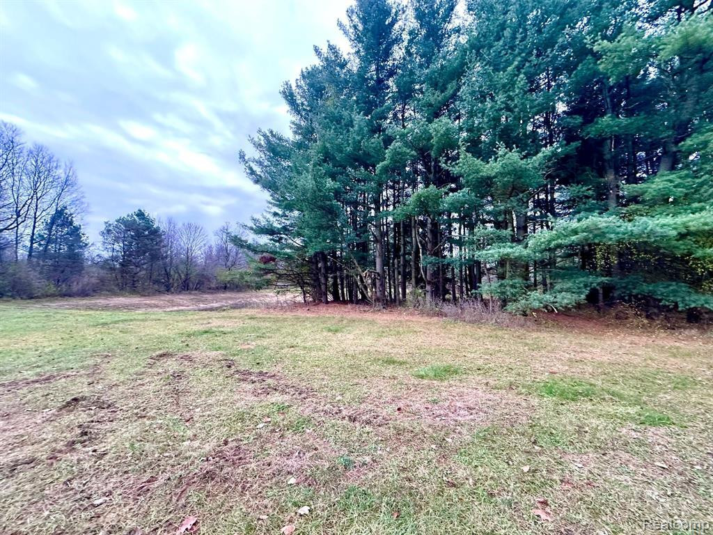 11943 SPEAKER Road, Brockway, MI 48097 — Photo 30