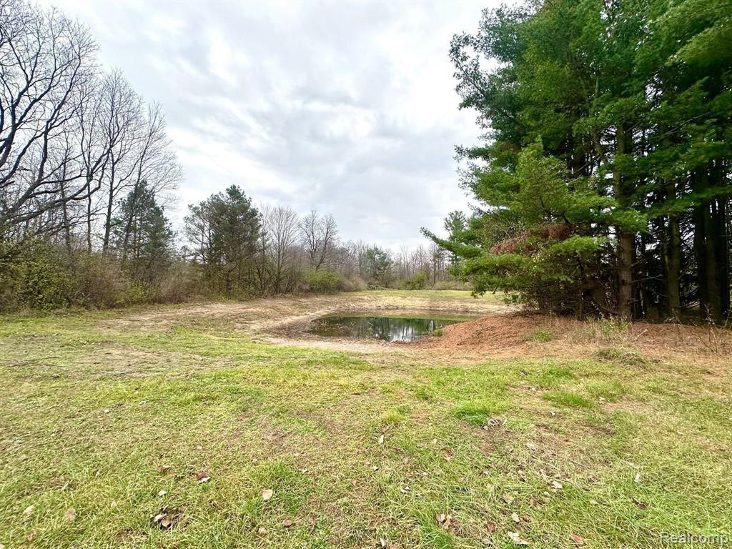 11943 SPEAKER Road, Brockway, MI 48097 — Photo 31