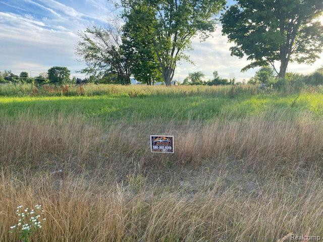0010 Daisy Lane, Almont, MI 48003 — Photo 2