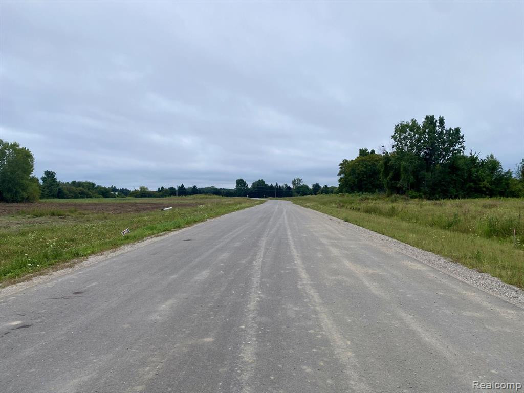 0010 Daisy Lane, Almont, MI 48003 — Photo 3