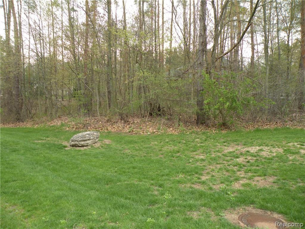 Lot 37 ALTA VISTA Drive, Pinckney, MI 48169 — Photo 3