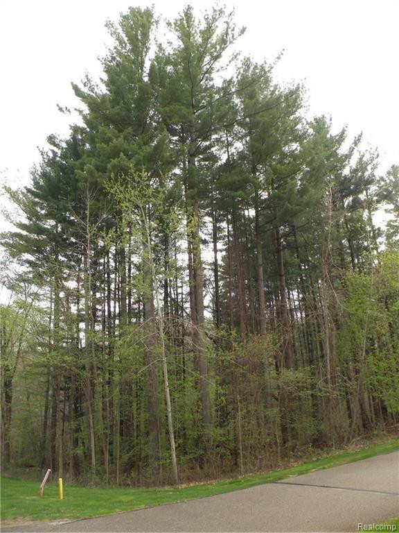 Lot 37 ALTA VISTA Drive, Pinckney, MI 48169 — Photo 4