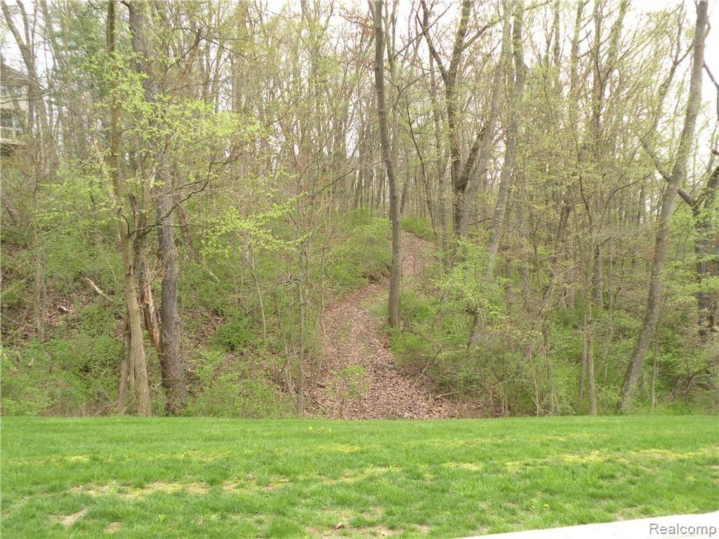 Lot 37 ALTA VISTA Drive, Pinckney, MI 48169 — Photo 5