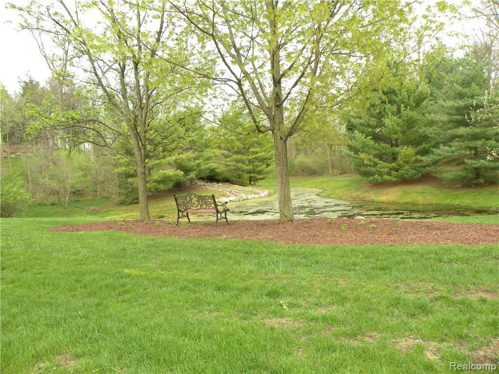 Lot 37 ALTA VISTA Drive, Pinckney, MI 48169 — Photo 6