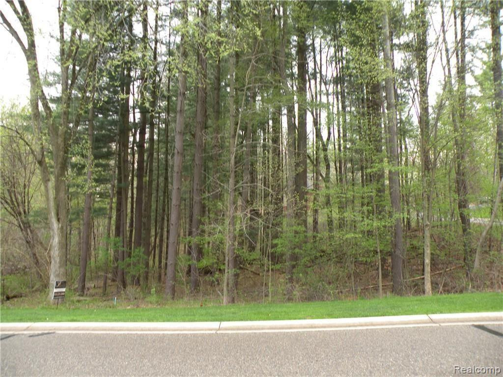 Lot 33 ALTA VISTA Drive, Pinckney, MI 48169 — Photo 2