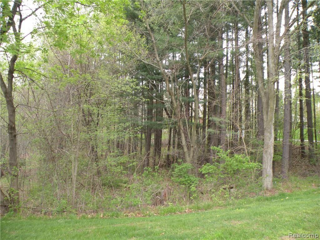Lot 33 ALTA VISTA Drive, Pinckney, MI 48169 — Photo 3