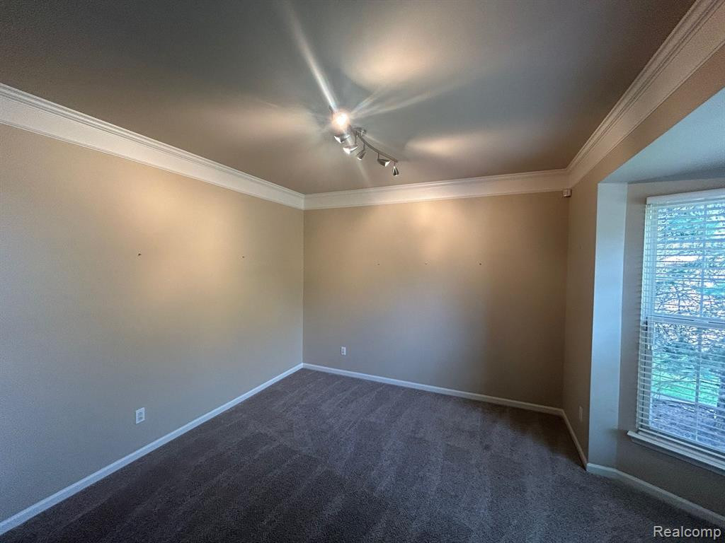 49100 RUNNING TROUT Lane, Northville, MI — Photo 9