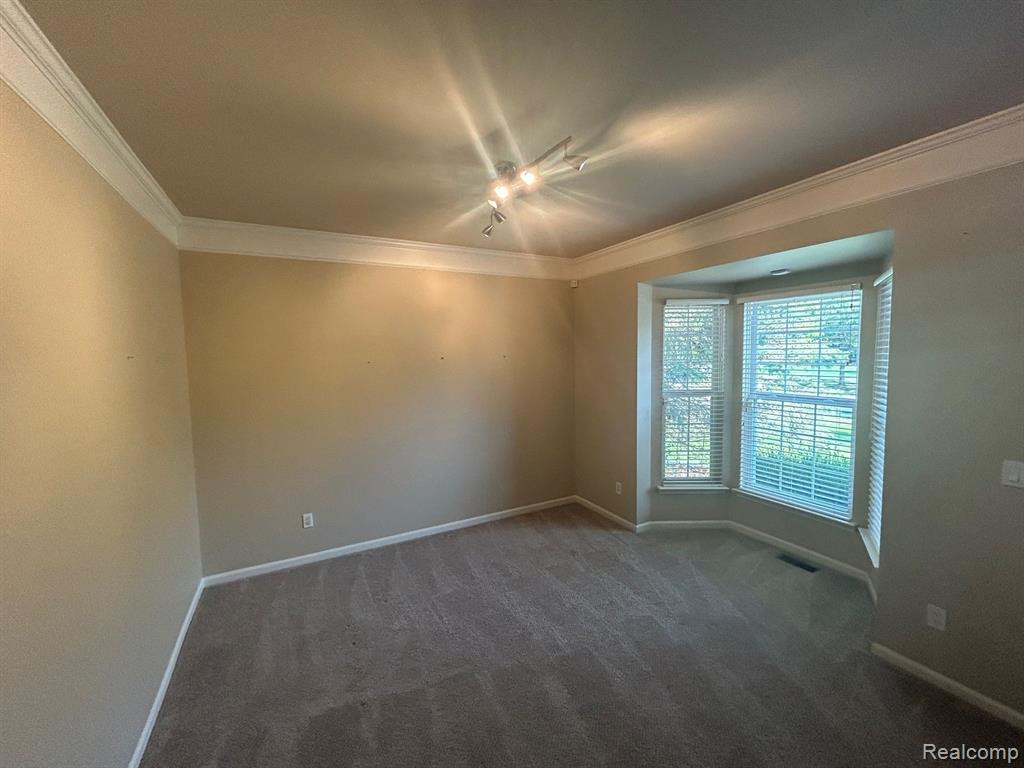 49100 RUNNING TROUT Lane, Northville, MI — Photo 10
