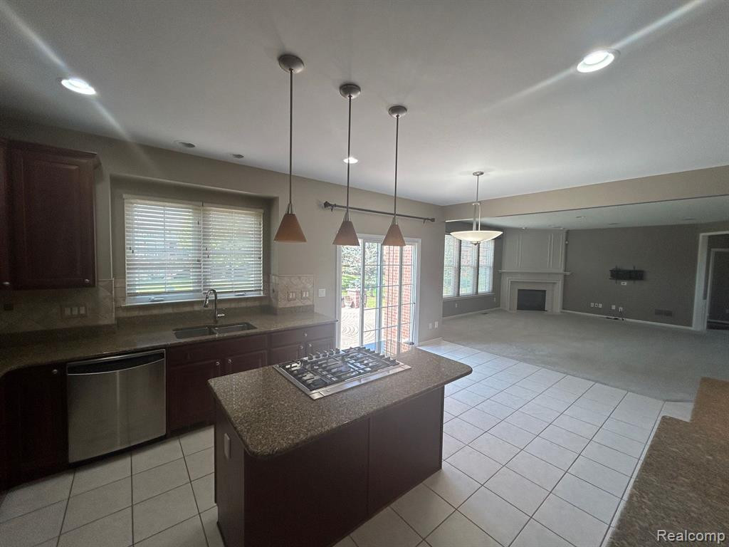 49100 RUNNING TROUT Lane, Northville, MI — Photo 19