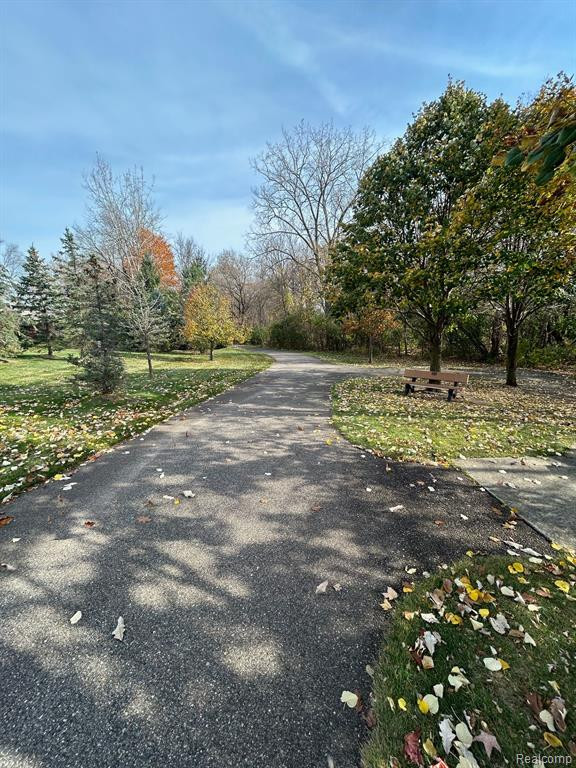 49100 RUNNING TROUT Lane, Northville, MI — Photo 71