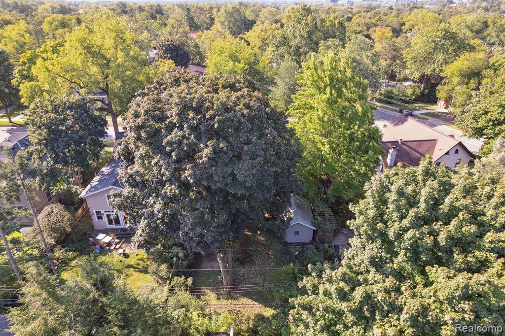 1303 BROOKLYN Avenue, Ann Arbor, MI 48104 — Photo 67