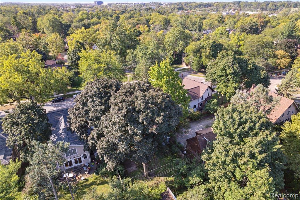 1303 BROOKLYN Avenue, Ann Arbor, MI 48104 — Photo 68