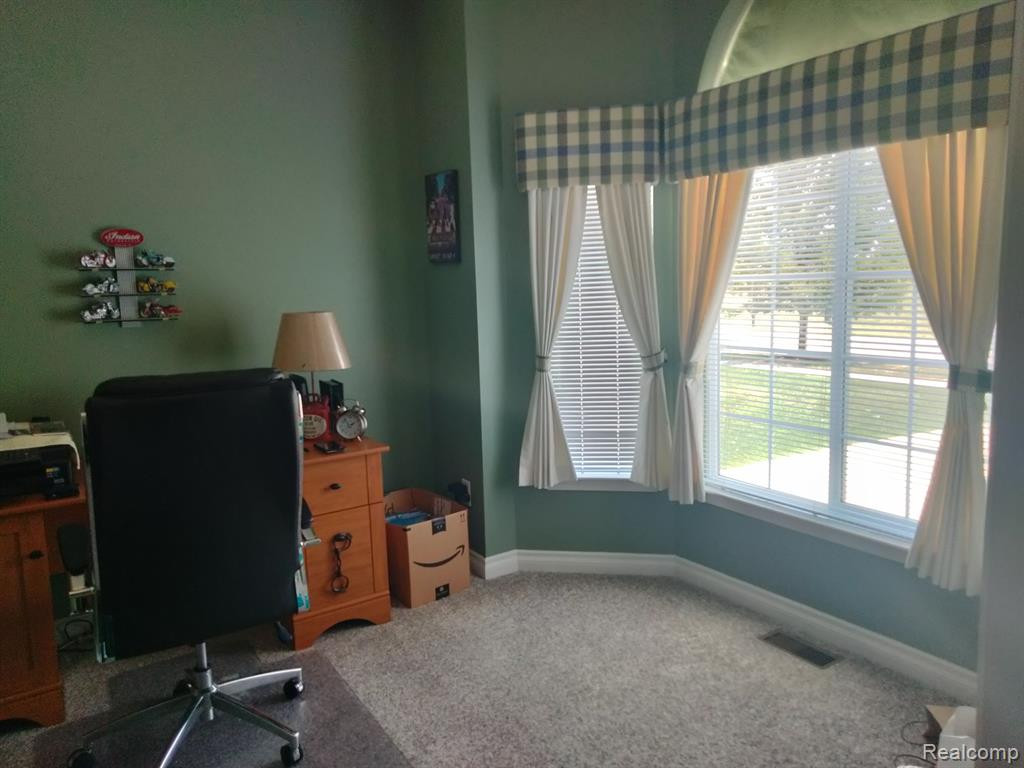 22460 WHITE PINE Drive, New Boston, MI 48164 — Photo 3