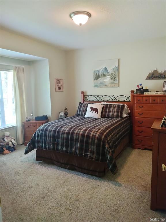 22460 WHITE PINE Drive, New Boston, MI 48164 — Photo 4