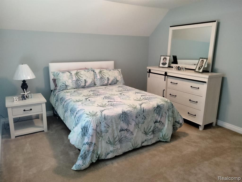 22460 WHITE PINE Drive, New Boston, MI 48164 — Photo 12