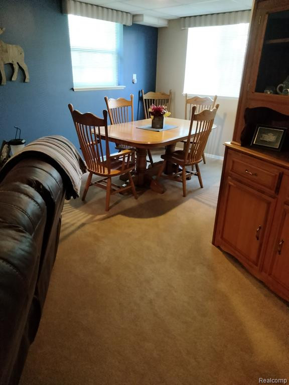 22460 WHITE PINE Drive, New Boston, MI 48164 — Photo 36