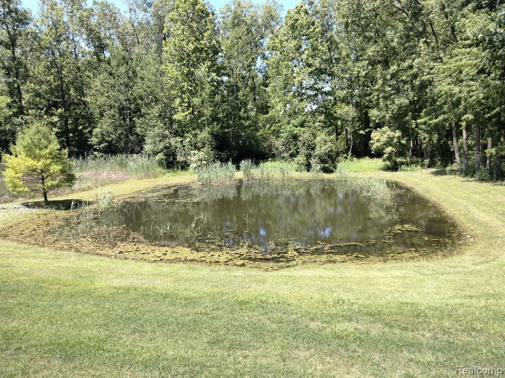 22460 WHITE PINE Drive, New Boston, MI 48164 — Photo 48