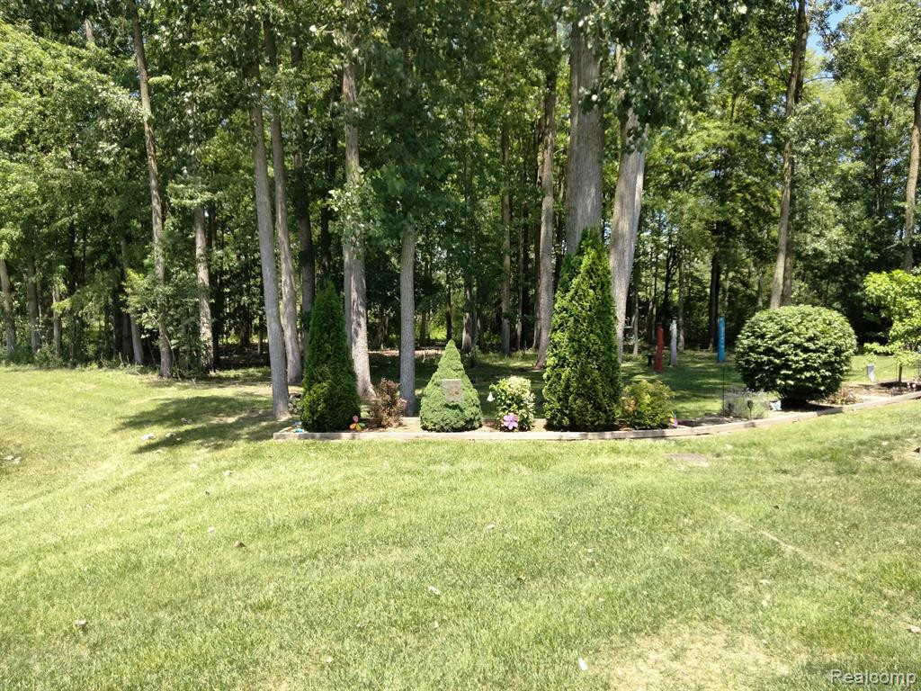 22460 WHITE PINE Drive, New Boston, MI 48164 — Photo 49