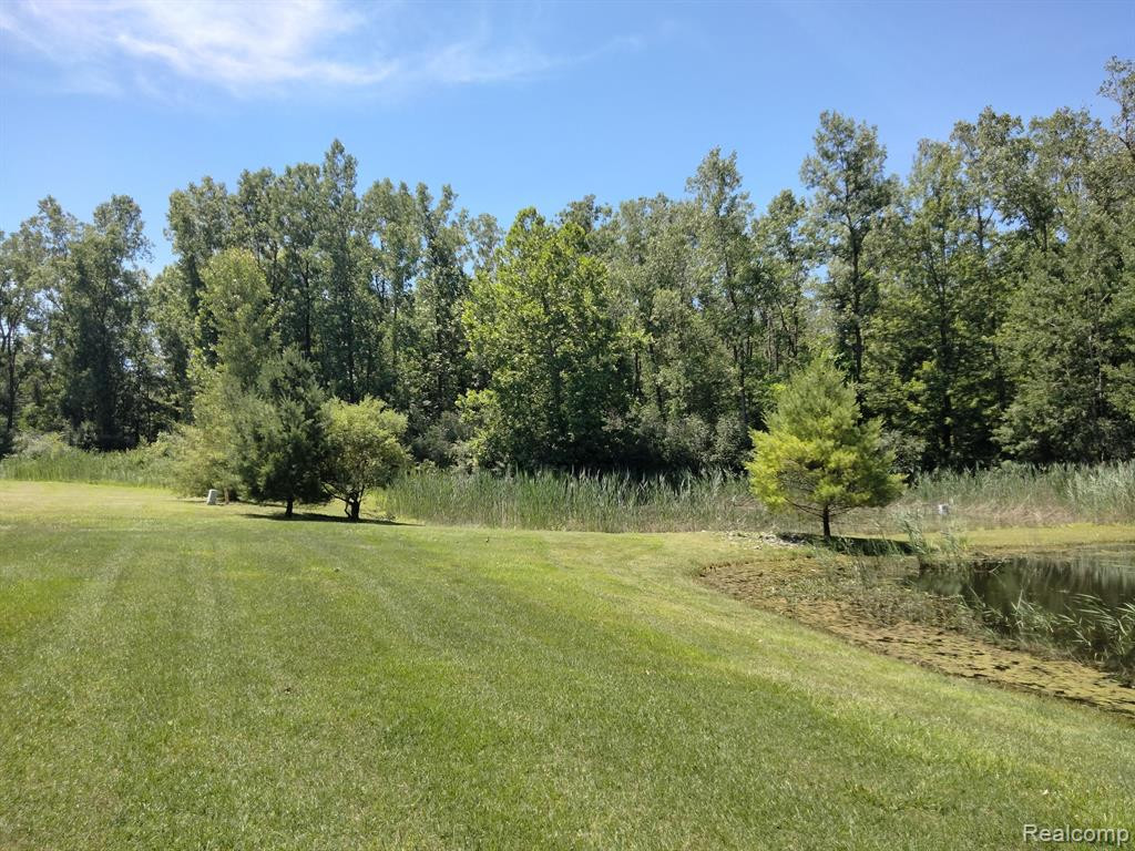 22460 WHITE PINE Drive, New Boston, MI 48164 — Photo 50