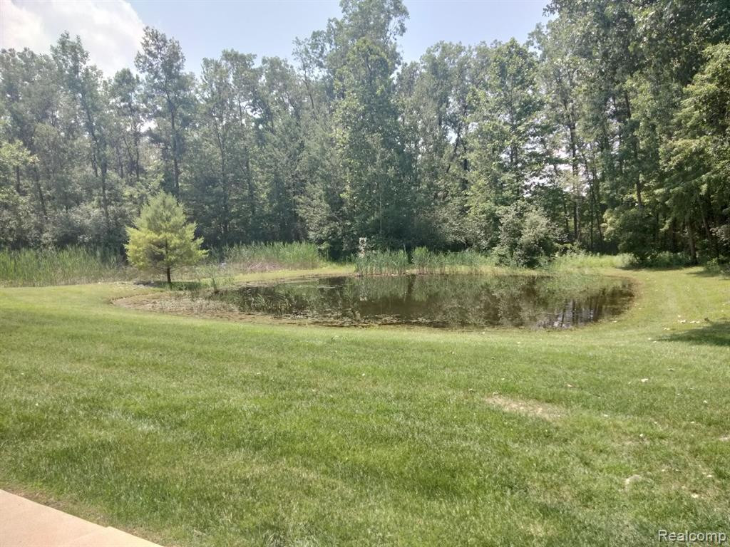 22460 WHITE PINE Drive, New Boston, MI 48164 — Photo 52
