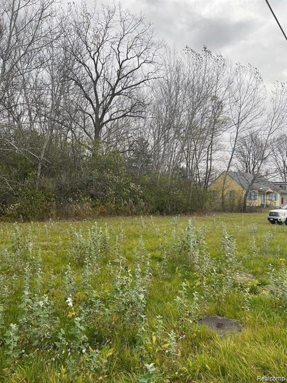 13281 GABLE Street, Hamtramck, MI, 48212