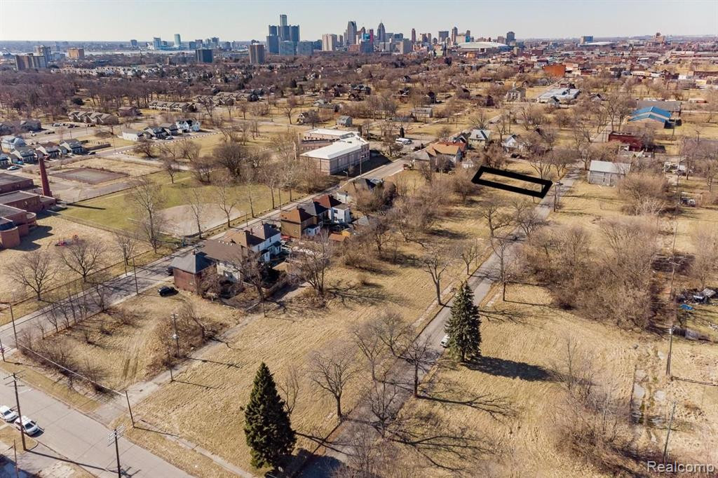 3350 ARNDT, Detroit, MI 48207