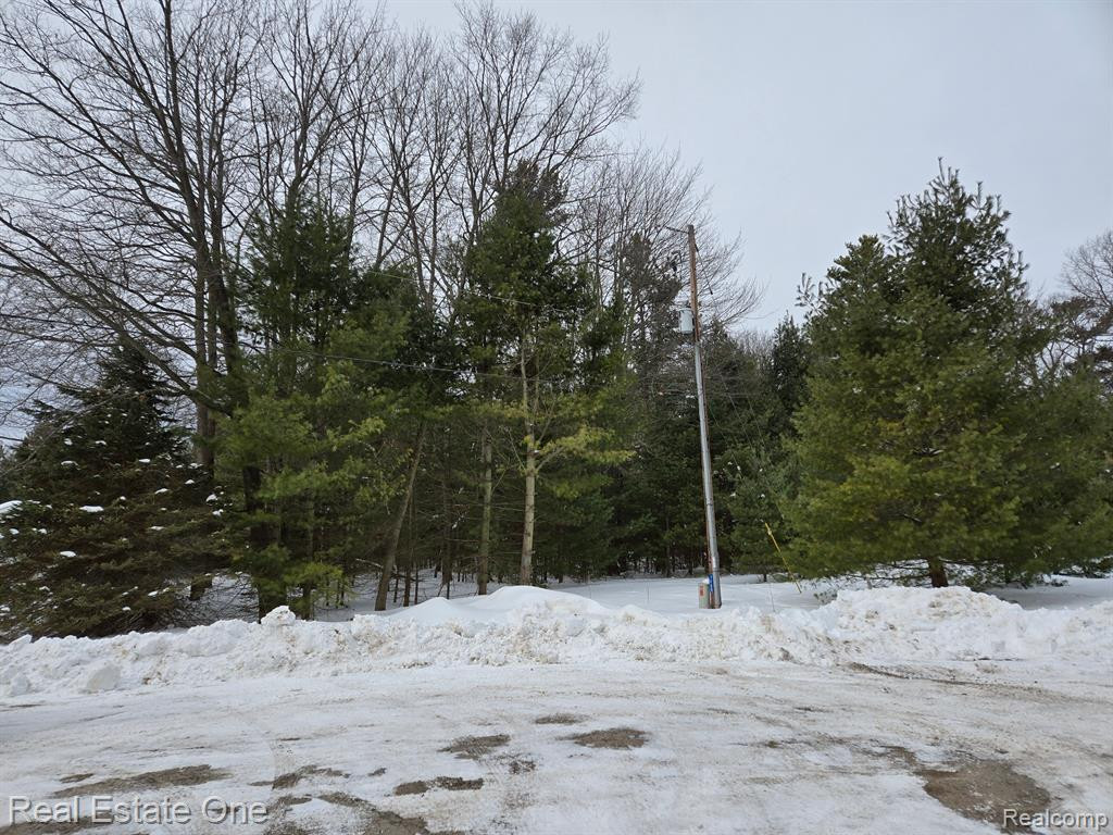 7289 WOODLEA Road, Oscoda, MI 48750 — Photo 2
