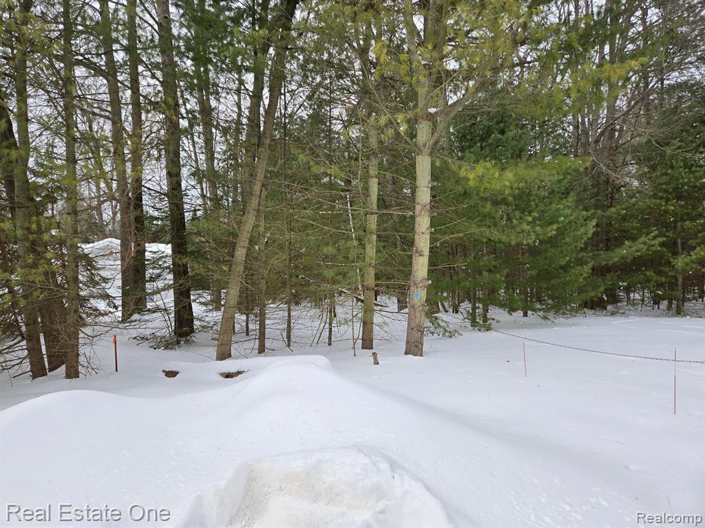 7289 WOODLEA Road, Oscoda, MI 48750 — Photo 3