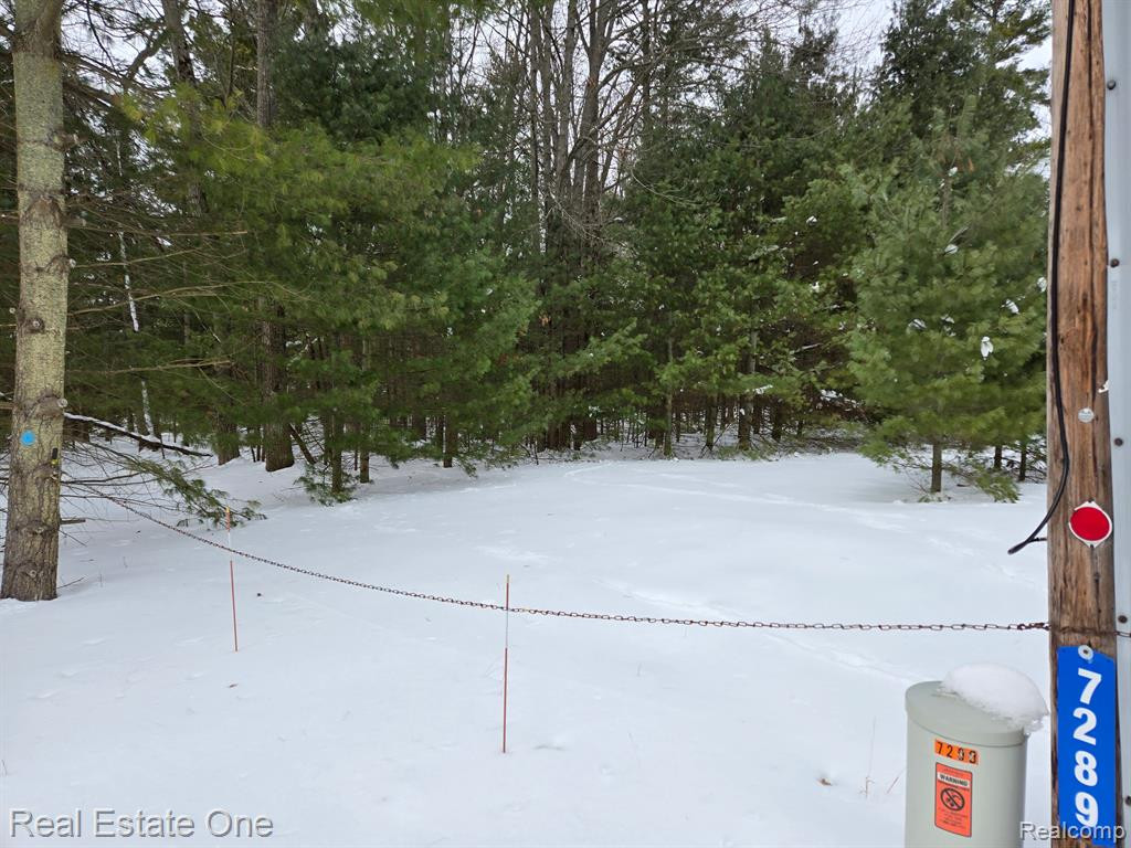 7289 WOODLEA Road, Oscoda, MI 48750 — Photo 4