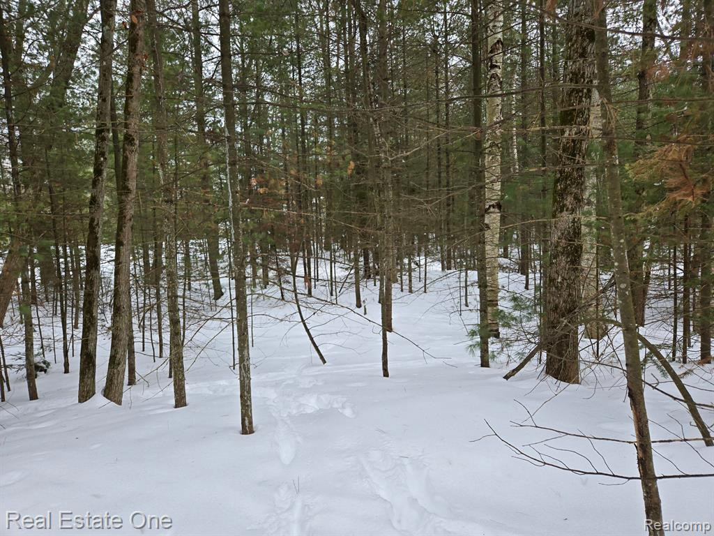 7289 WOODLEA Road, Oscoda, MI 48750 — Photo 5