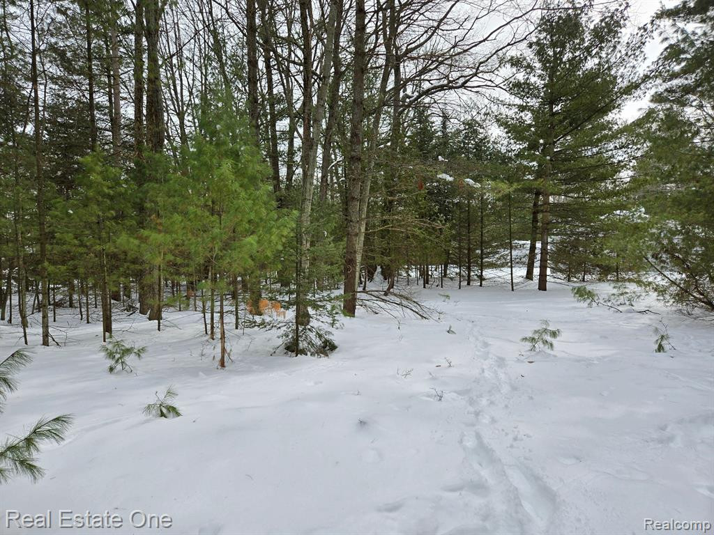 7289 WOODLEA Road, Oscoda, MI 48750 — Photo 6