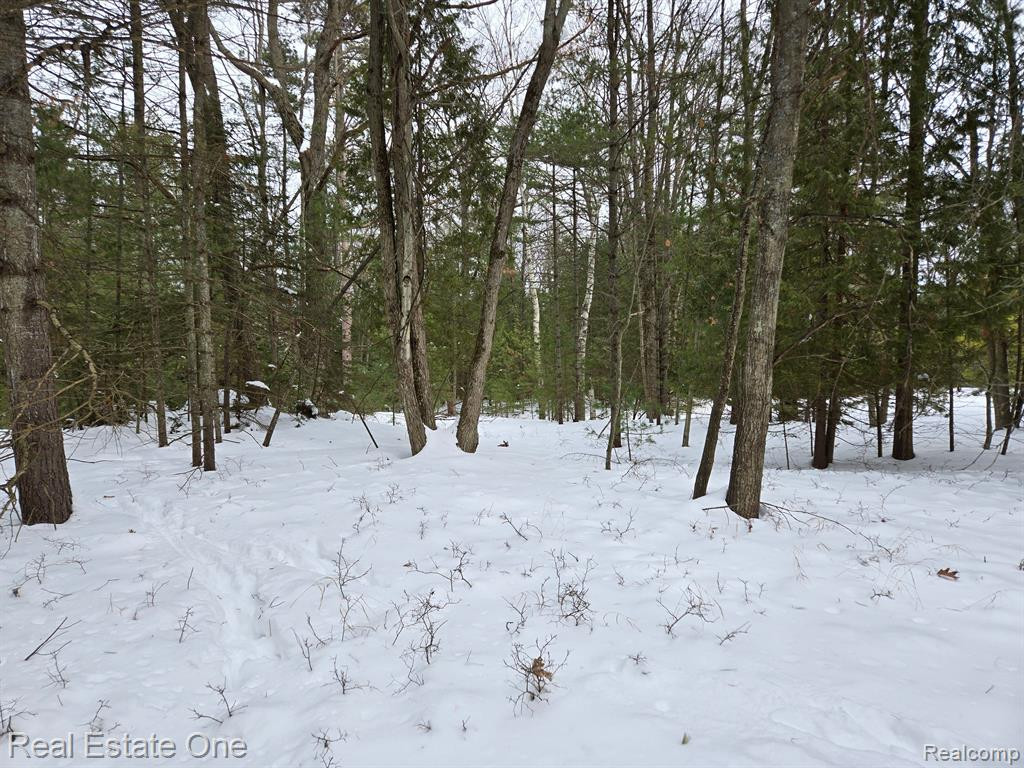 7289 WOODLEA Road, Oscoda, MI 48750 — Photo 7