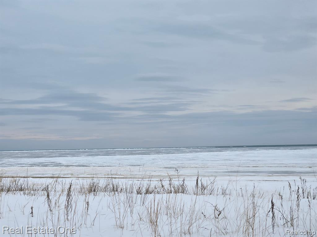 7289 WOODLEA Road, Oscoda, MI 48750 — Photo 10