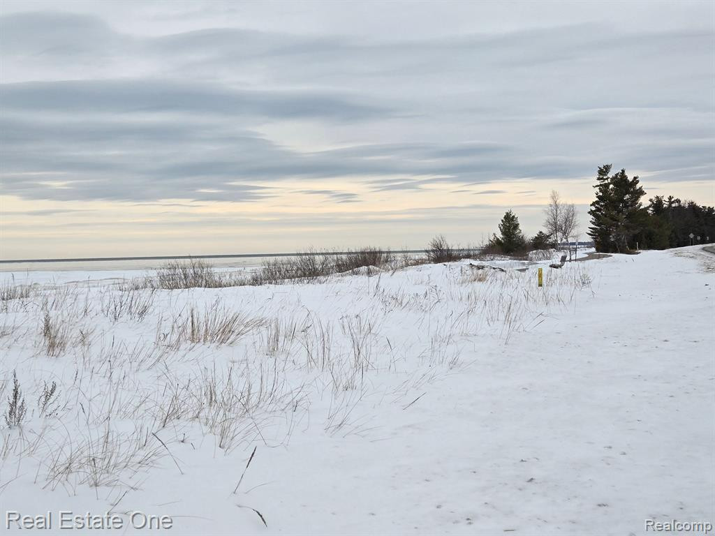 7289 WOODLEA Road, Oscoda, MI 48750 — Photo 11