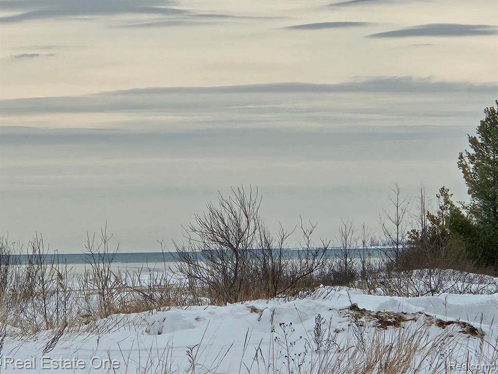 7289 WOODLEA Road, Oscoda, MI 48750 — Photo 13