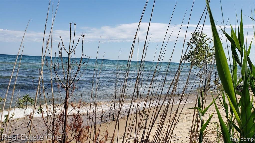 7289 WOODLEA Road, Oscoda, MI 48750 — Photo 14