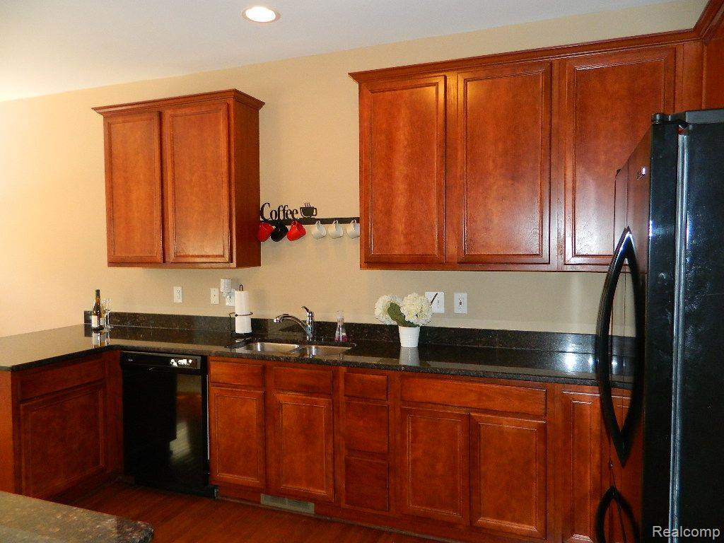 41131 N MAPLEWOOD Drive, Canton, MI 48187 — Photo 8