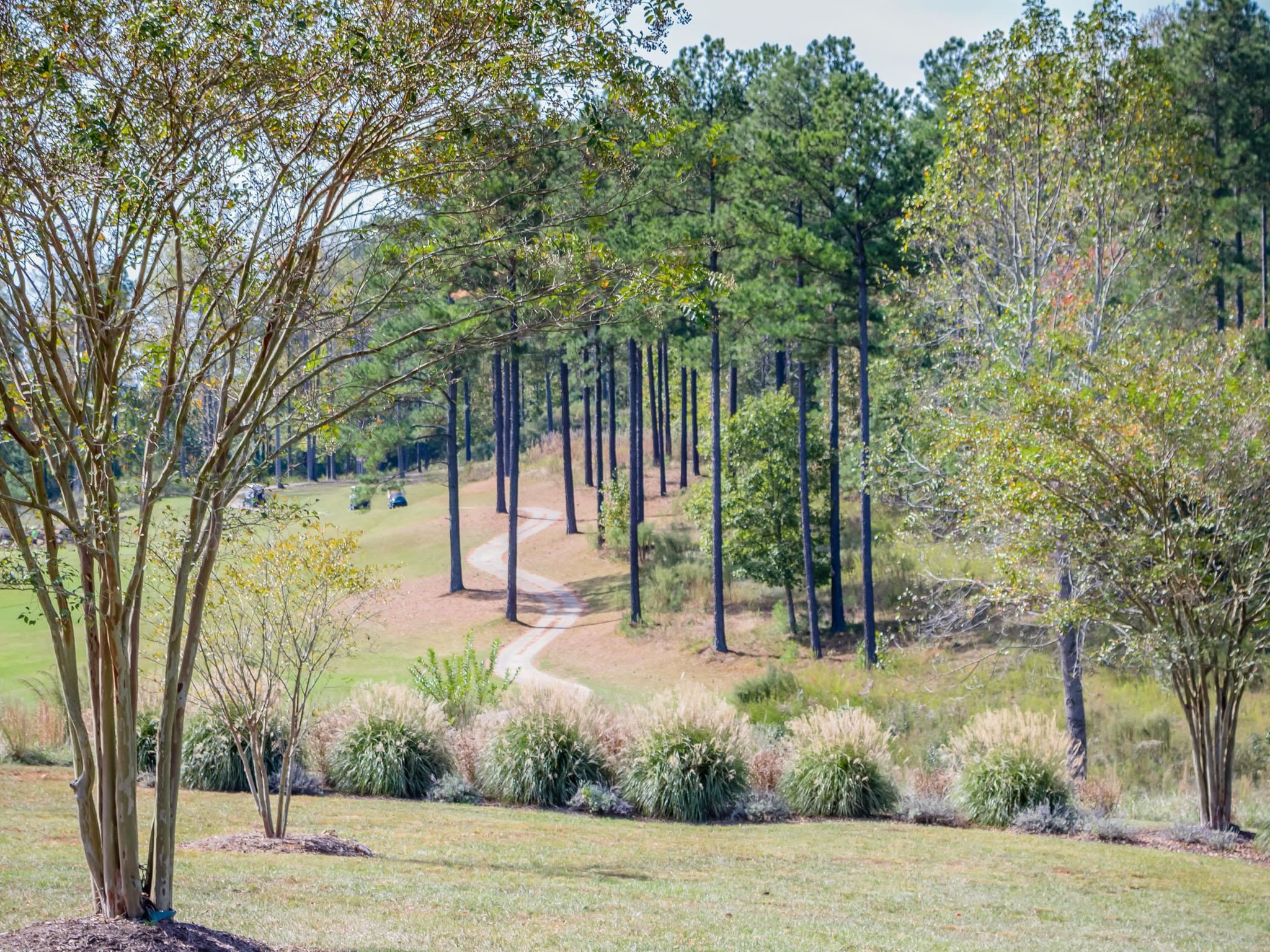 72 Hazelwood  Pittsboro, NC 27312
