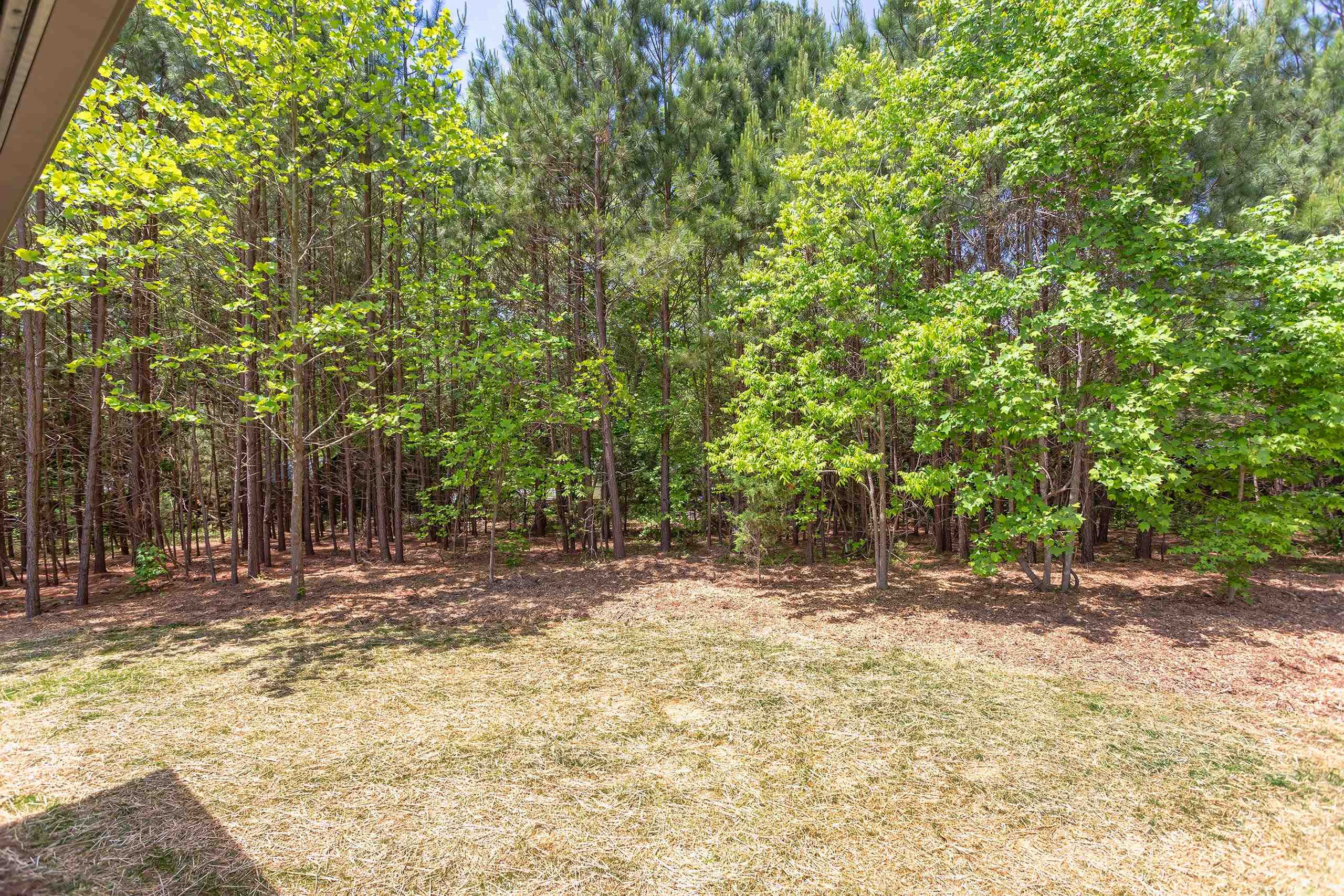 170 Daphine Drive photo 33