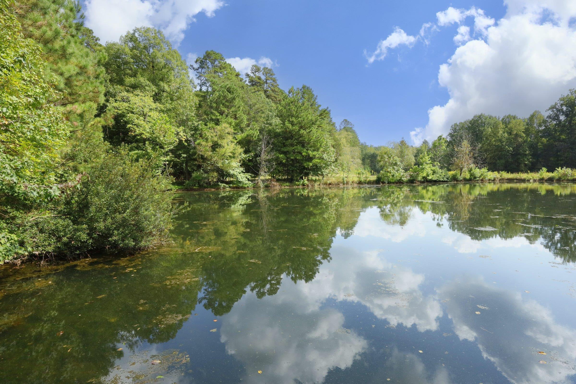 1800 Halls Mill Road photo 5