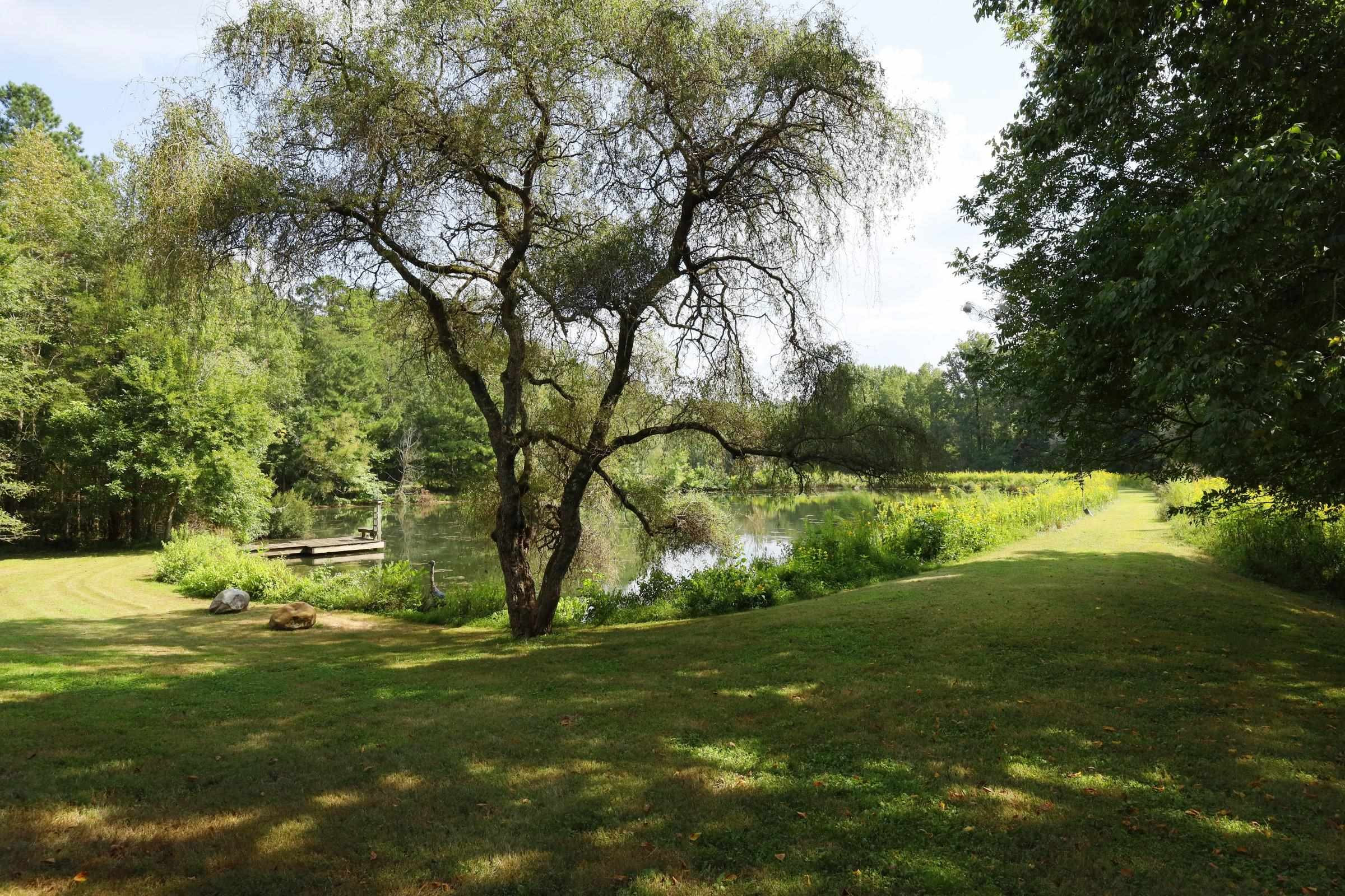 1800 Halls Mill Road photo 54